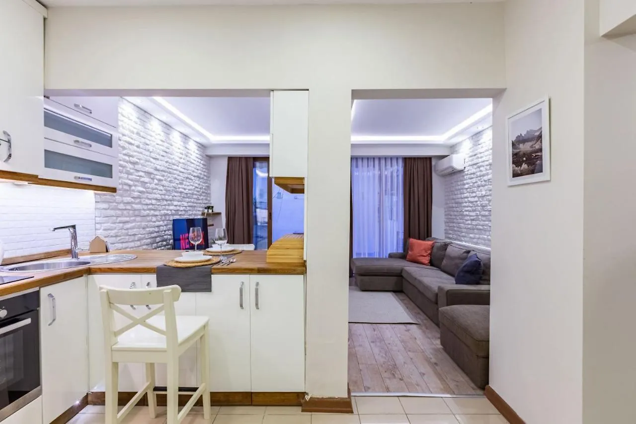 이스탄불 Excellent Flat With A Lovely Backyard In Nisantasi 아파트 터키